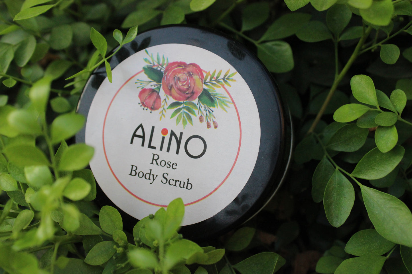Rose Body Scrub